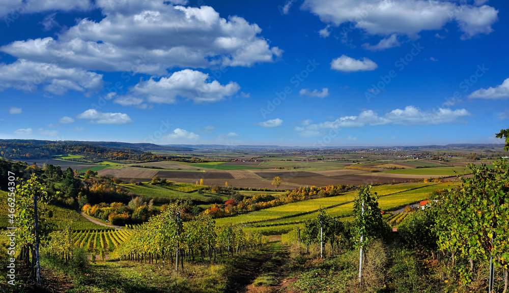 Blick auf Frankens Weinberge im Herbst