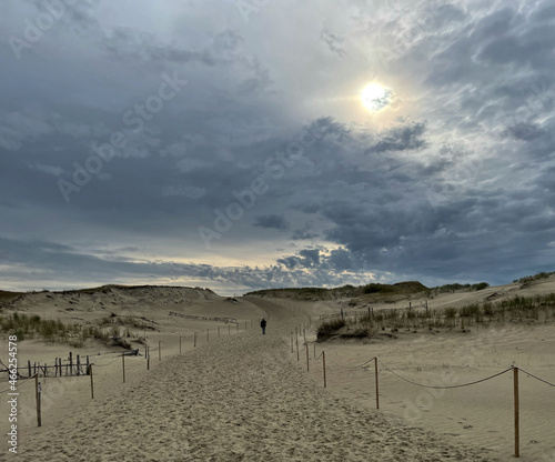 Weg durch die Dünen im Naturschutzgebiet Nagliai. Kurische Nehrung, Litauen photo