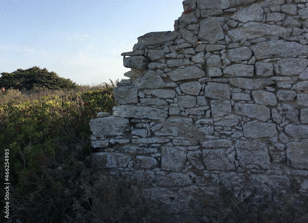 wall and nature
