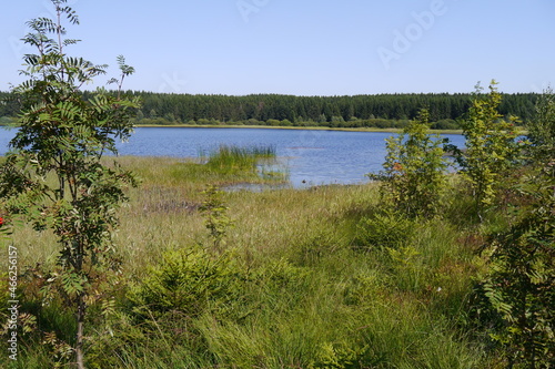 Hirschler Teich im Harz - Oberharzer Wasserregal