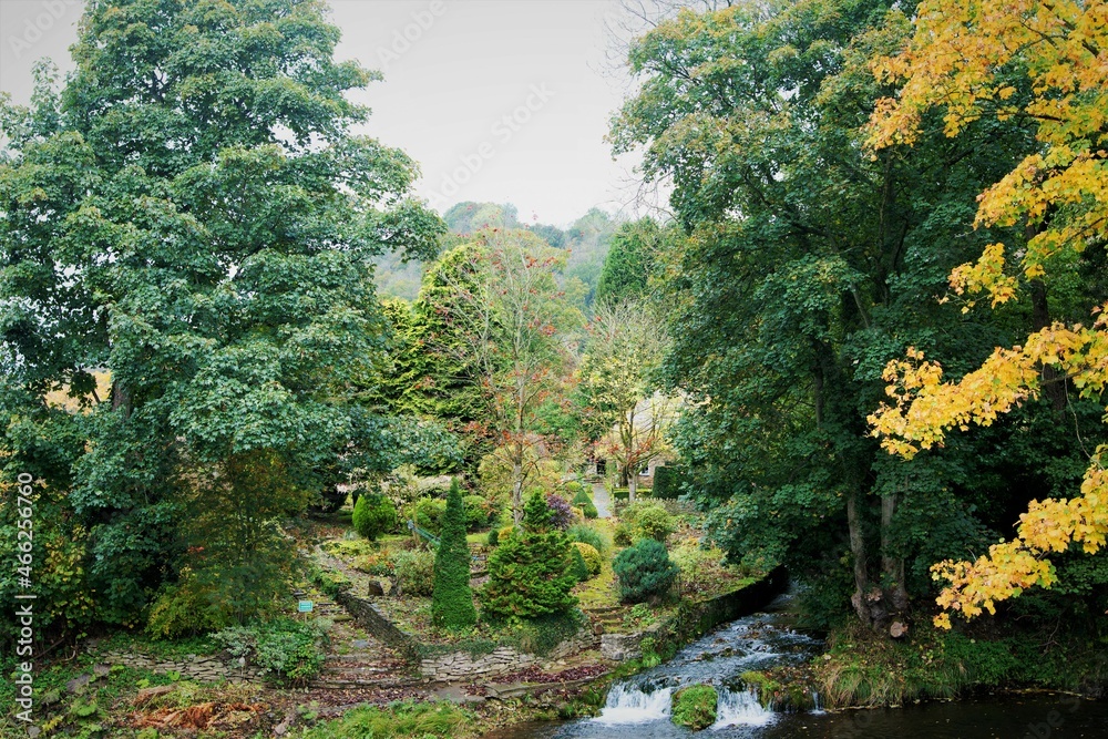 Secret garden in an autumnal forest, in North Yorkshire, England.
