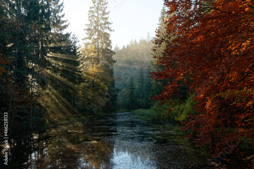 Morgennebel am Fuße des Ochsenkopf, Fichtelgebirge in Oberfranken