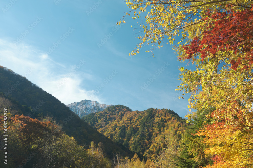 秋の紅葉した高瀬渓谷