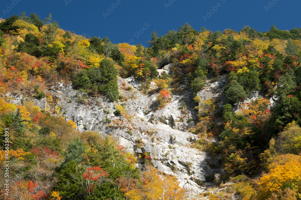 秋の紅葉した高瀬渓谷