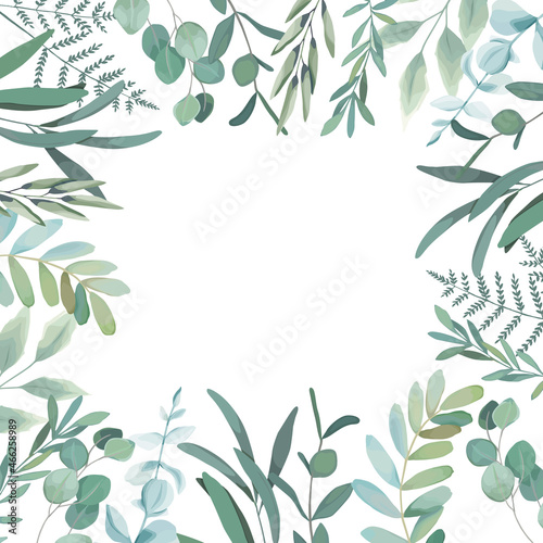 Seamless greenery frame. Spring border with eucalyptus branch and leaves. Vintage botanical plant