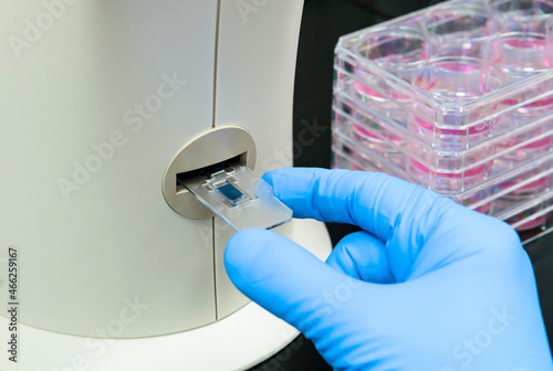 Scientist inserts two chamber slide into automatic cell counter for calculating the concentration of mammalian cells photo