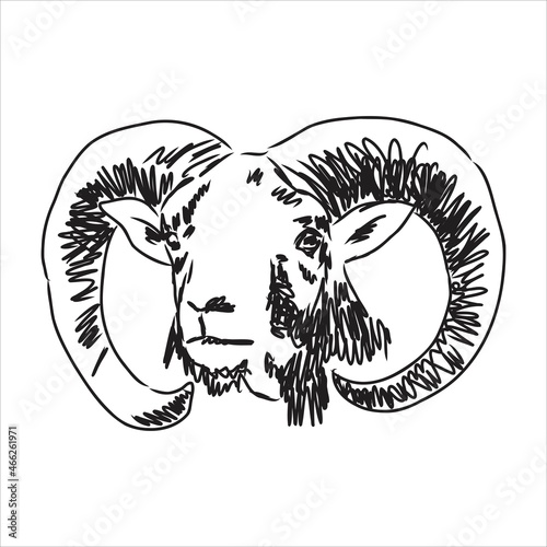 Large goat horns screwed shape from back, sketch vector drawing in graphic style on white background