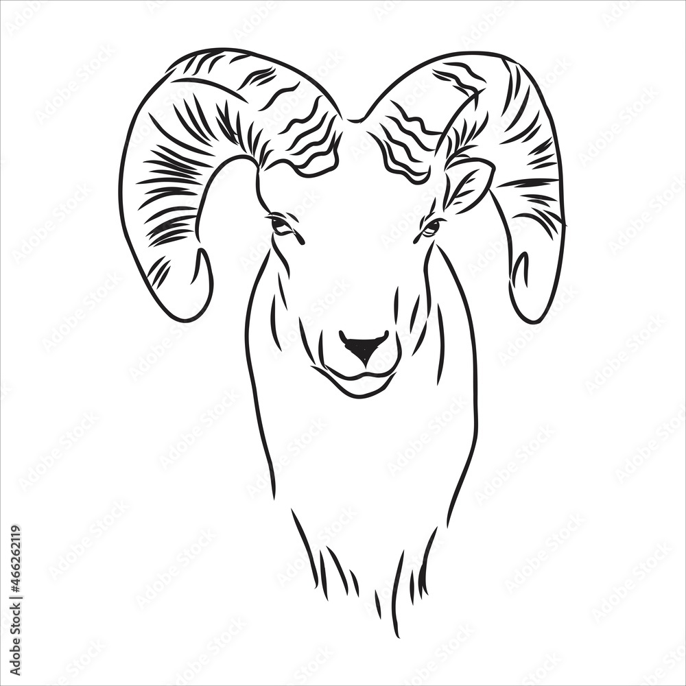 Large goat horns screwed shape from back, sketch vector drawing in graphic style on white background