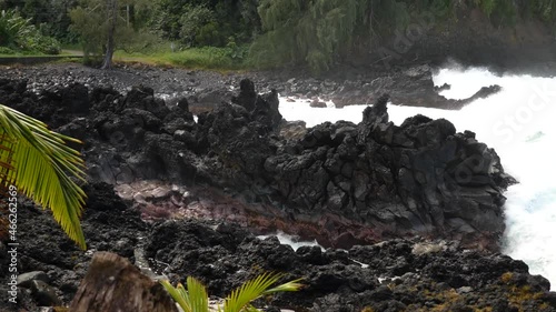 Black lava rocks with palm trees and crashing waves on beautiful Keanae Peninsula on Road to Hana, north shore of Maui, Hawaii, 4k footage. photo