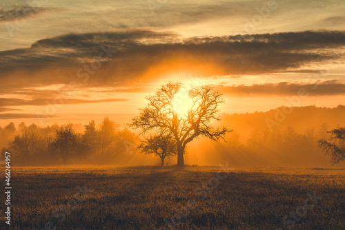 sunrise in the fog