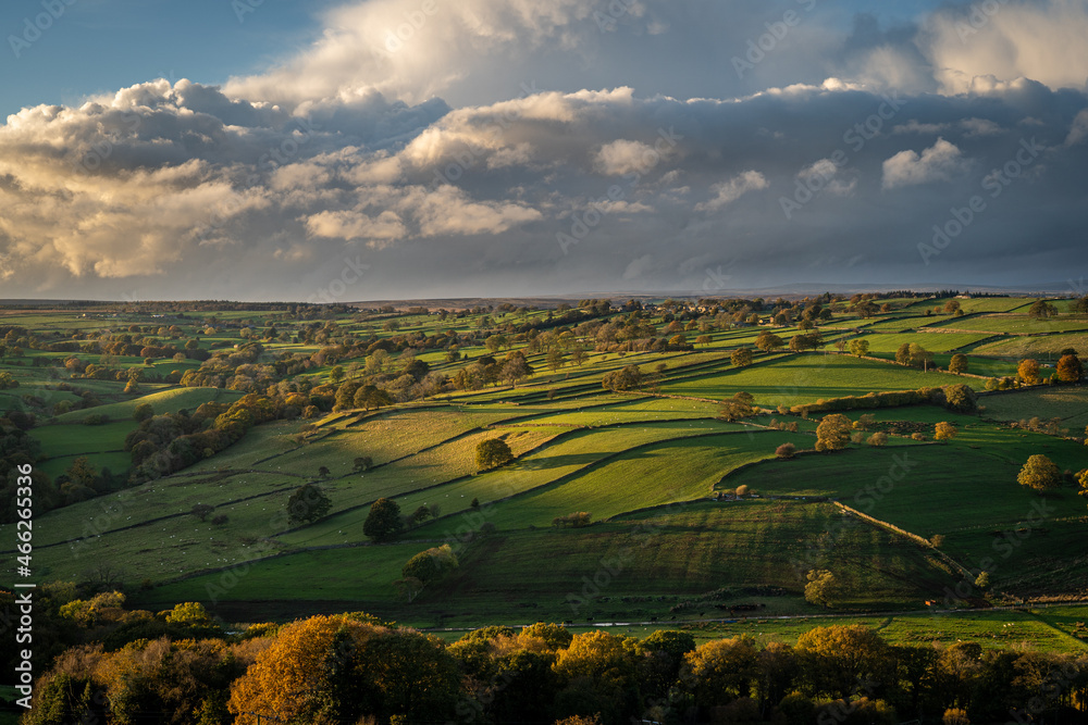 English Countryside in Autumn at Dusk