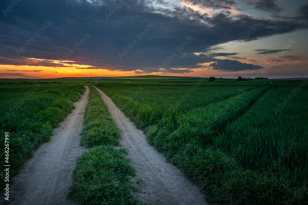 Obraz premium Unpaved road through green fields and sunset