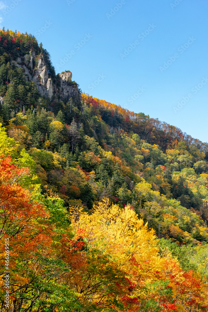 北海道秋の風景　層雲峡の紅葉