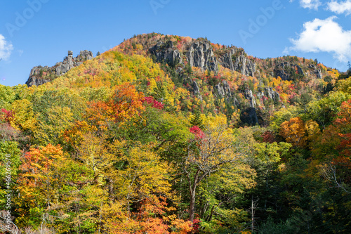 北海道秋の風景 層雲峡の紅葉 © 英敏 松本