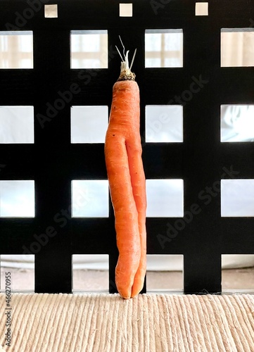 Carota fashion 