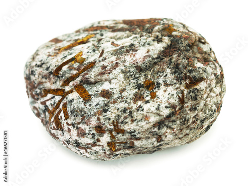 Lamellar crystals of astrophyllite included in the rock