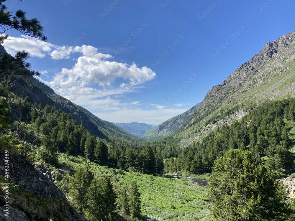 landscape in the mountains