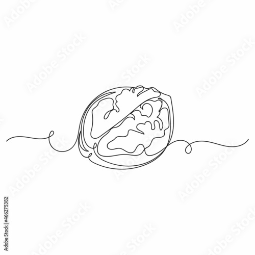Vector continuous one single line drawing icon of beautiful walnut in silhouette on a white background. Linear stylized.