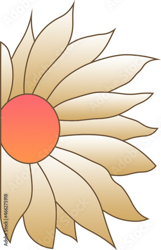 Sun flower Vector with work path photo