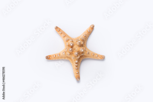 Large starfish on a white background. Top view  flat lay