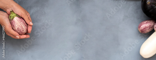 a few oval eggplant white and violet in a woman's hand. Mock up for concept a variety of healthy food