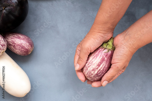 five oval eggplant white and violet in a woman's hand. Mock up for concept a variety of healthy food
