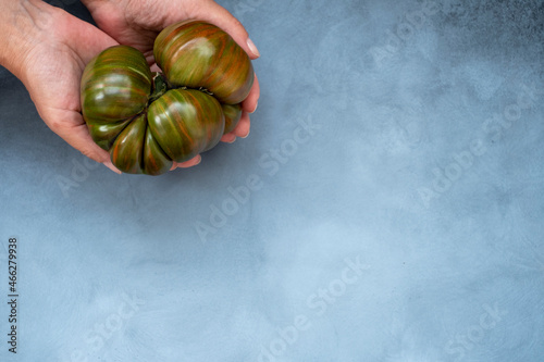 Ugly tomatoes in women hands, concept organic vegetables