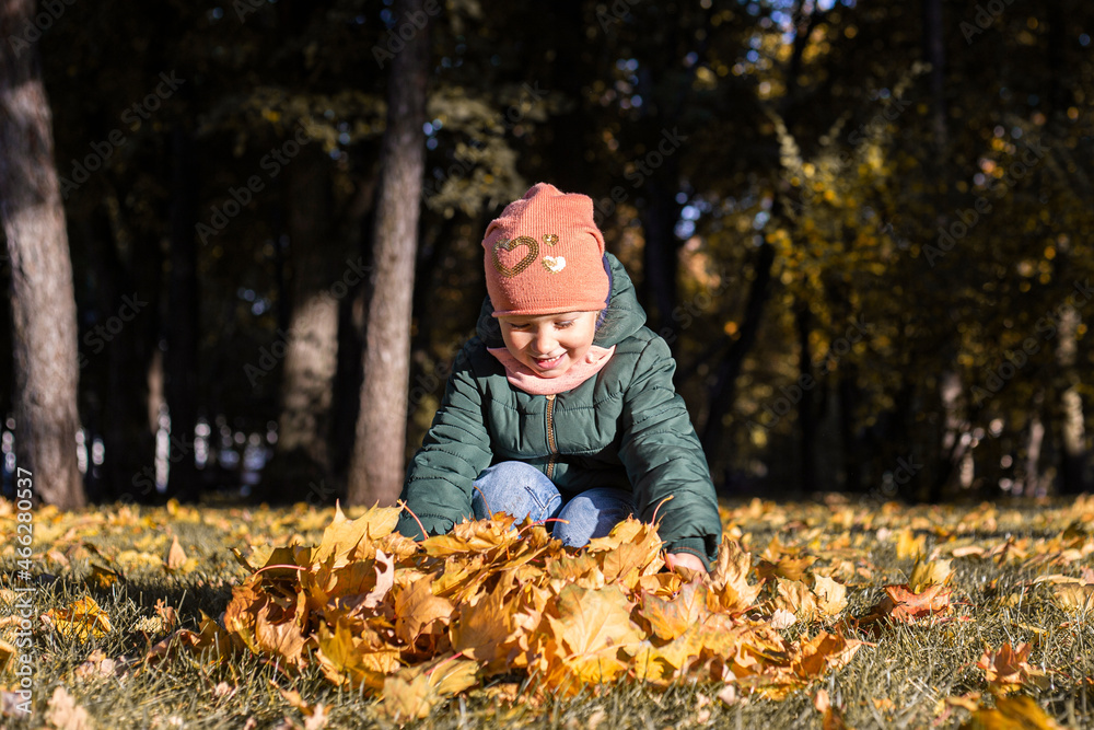 Child girl collects yellow leaves in the autumn park. Child girl collects yellow leaves in the autumn park.