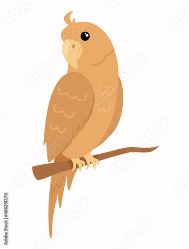 Beautiful tropical bird in scandinavian style. Vector illustration of parrot on white background