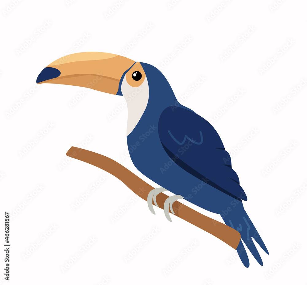 Fototapeta premium tropical toucan sitting on a branch. Vector illustration isolated on background