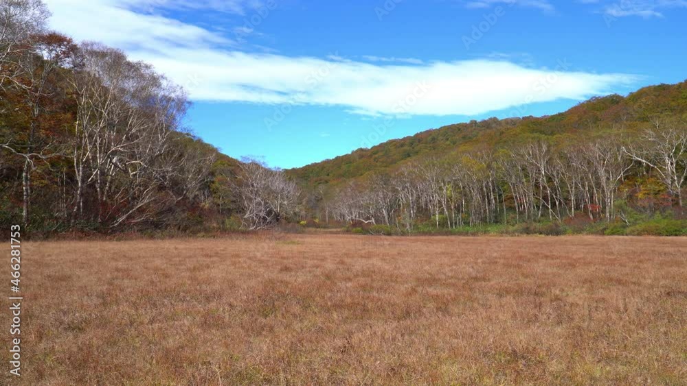 秋のカヤの平高原 北ドブ湿原 秋のカヤの平高原 北ドブ湿原