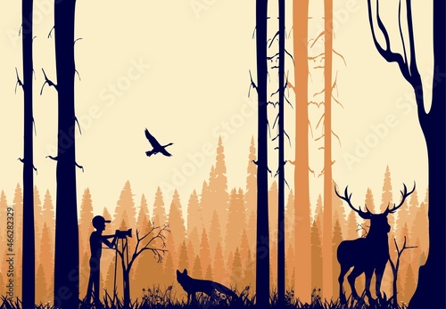 Silhouettes of deer and cameraman in the forest  , trees and wild animals dark red silhouettes
