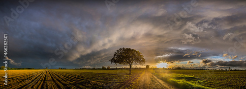 Avant l'orage, Alsace, France photo