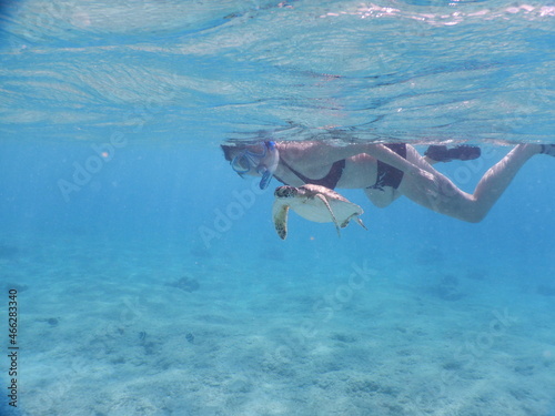 Young woman snorkelling with a turtle in the Caribbean sea