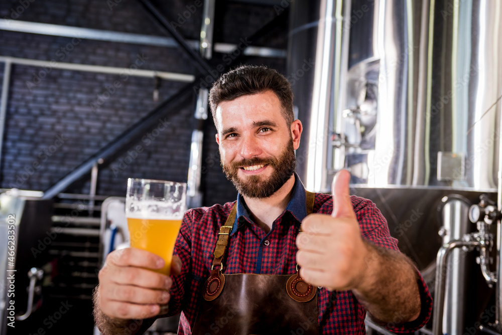 Fototapeta premium Young brewer wearing a leather apron is testing beer at a modern brewery