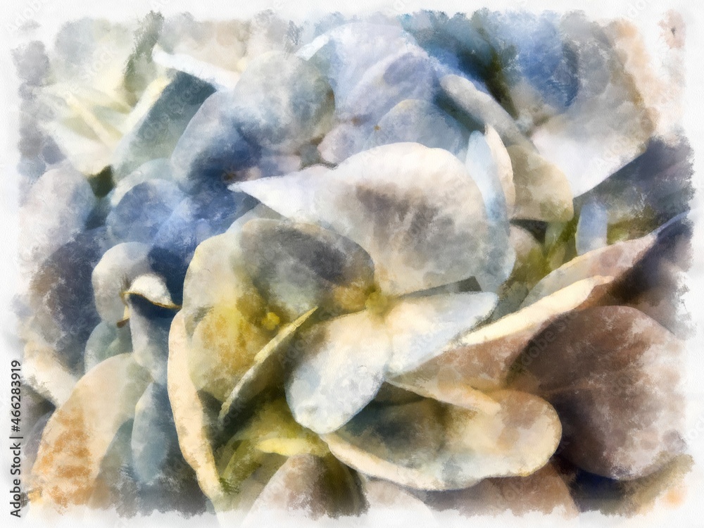 white purple flower petals watercolor style illustration impressionist painting.