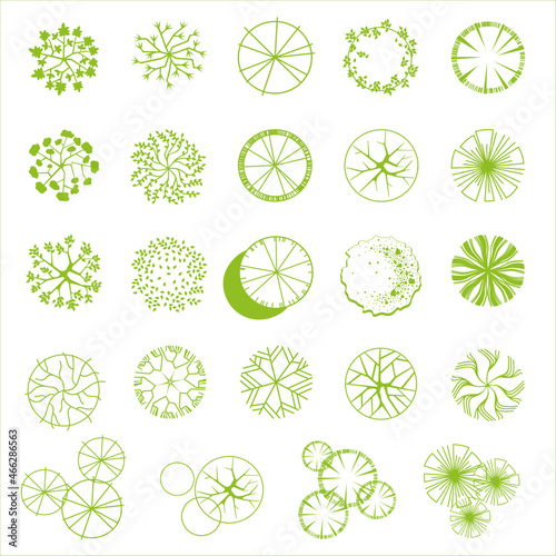 Trees for the master plan. Tree plans for architectural floor plans or landscape designs
