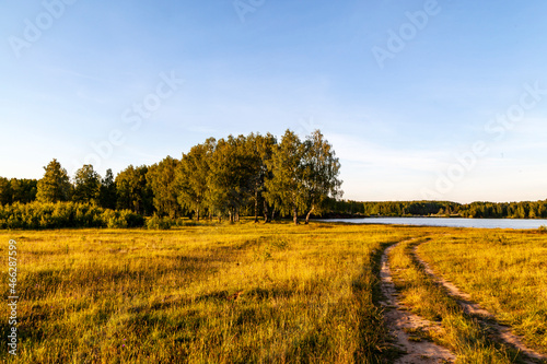 Jesień w lesie