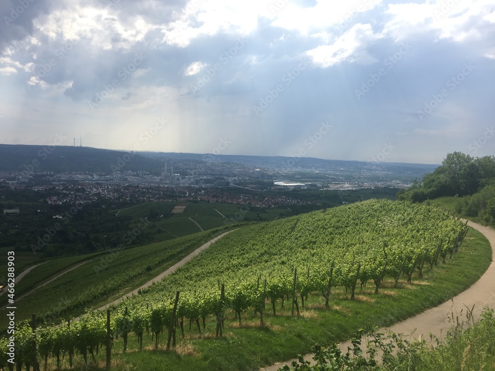 Naklejka premium Aussichten