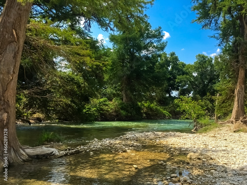 Calm River surrounded by Trees with Blue Sky