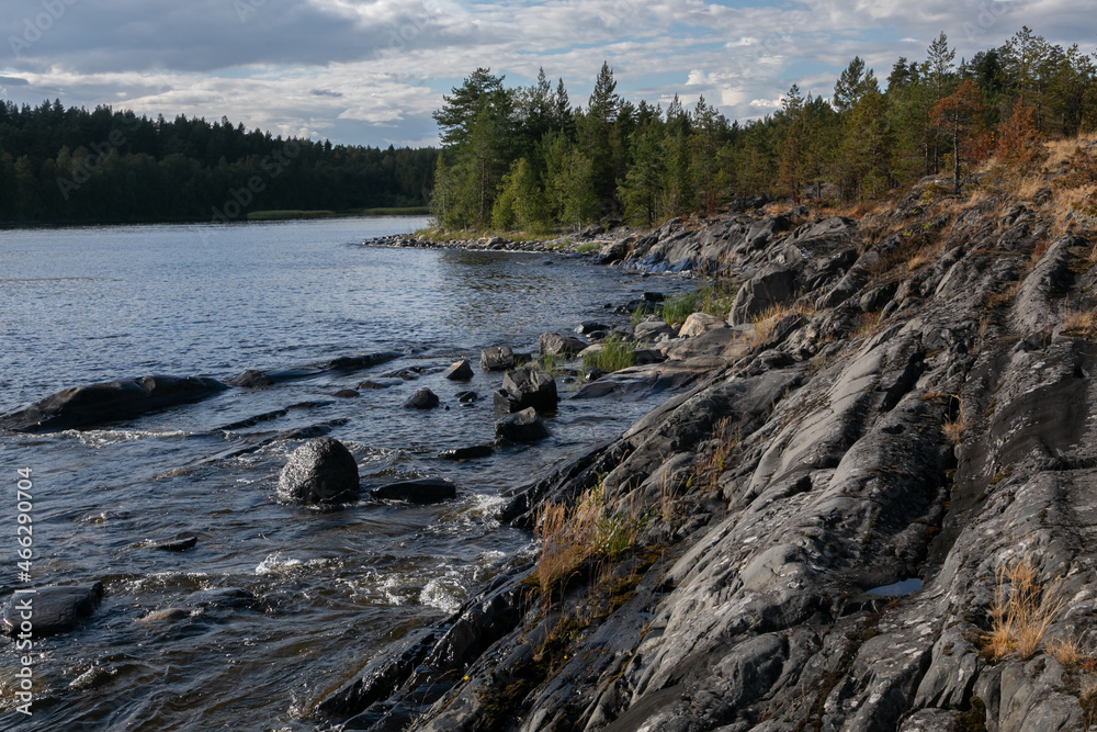 Northern landscape with rugged stony skerries washed by lake Ladoga. Rare plants grow through the cracks in the rocky shore. In the background, the harsh deep dark waters of the lake and gloomy sky