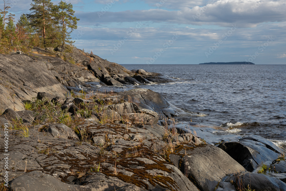 Northern landscape with rugged stony skerries washed by lake Ladoga. Rare plants grow through the cracks in the rocky shore. In the background, the harsh deep dark waters of the lake and gloomy sky