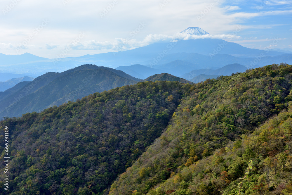 富士山と紅葉(日本の秋 丹沢・塔ノ岳/鍋割山の道) 富士山と紅葉(日本の秋 丹沢・塔ノ岳/鍋割山の道)