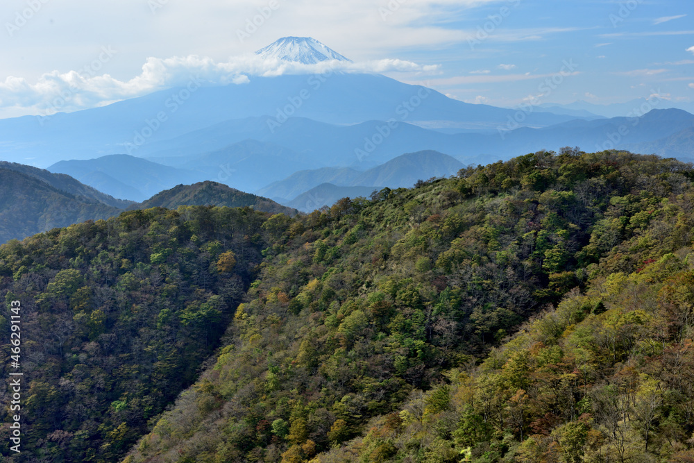 富士山と紅葉（日本の秋　丹沢・塔ノ岳／鍋割山の道）