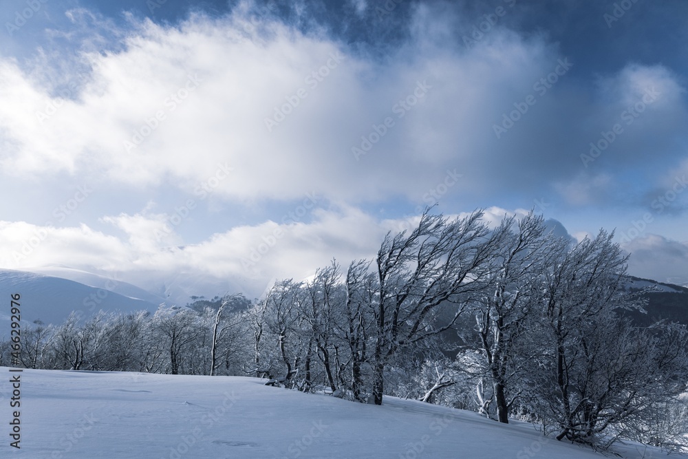 Fluffy clouds shelter under white snow sheltered by forests and beautiful mountains Fluffy clouds shelter under white snow sheltered by forests and beautiful mountains