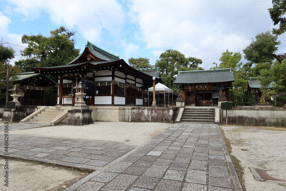  Temples and shrines in Kyoto in Japan 日本の京都の神社仏閣 : Hai-den Hall and Hon-den Main Hall in the precincts of Wara-tenjin Shrine わら天神境内の拝殿と本殿