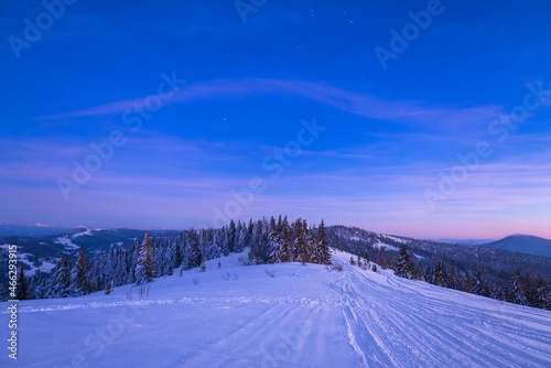 View of the evening winter wide panorama © YouraPechkin