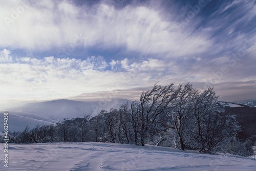 Fluffy clouds shelter under white snow sheltered by forests and beautiful mountains © YouraPechkin