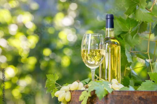 bottle and glass of white wine on wooden barrel in garden