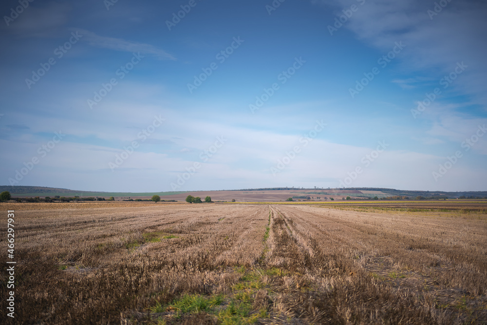 Beautiful autumn rural landscape, field after harvest, plowed field and blue sky Beautiful autumn rural landscape, field after harvest, plowed field and blue sky